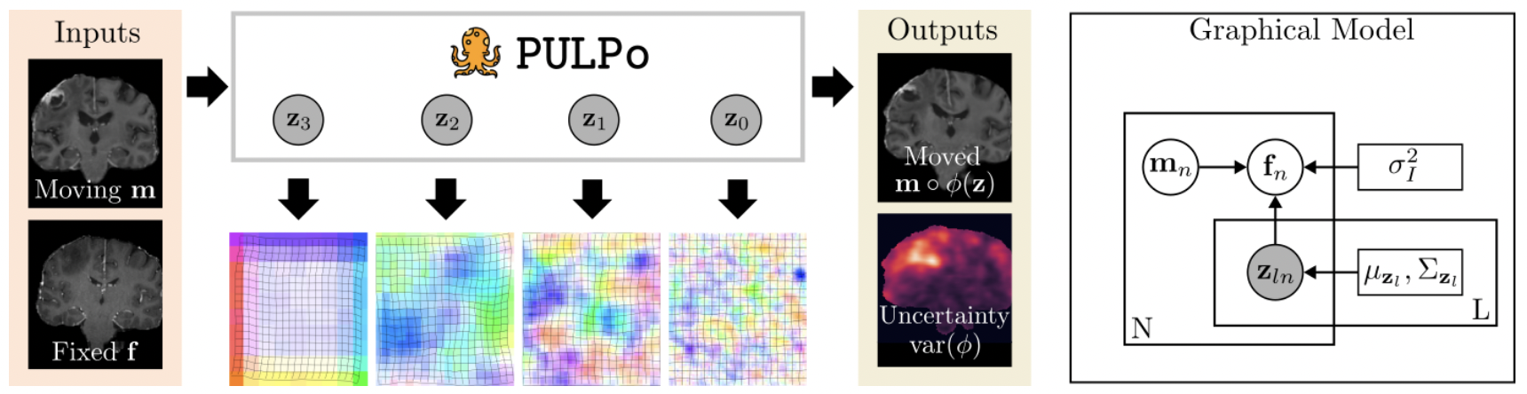 PULPo: Probabilistic Unsupervised Laplacian Pyramid Registration